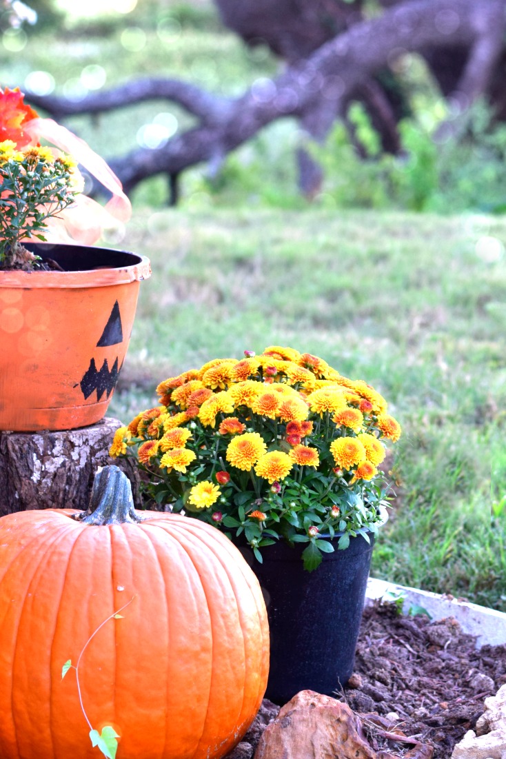 Fall porch Decorations - Natural wood, pumpkins, and mums for a cheap, woodsy look on chemistrycachet.com