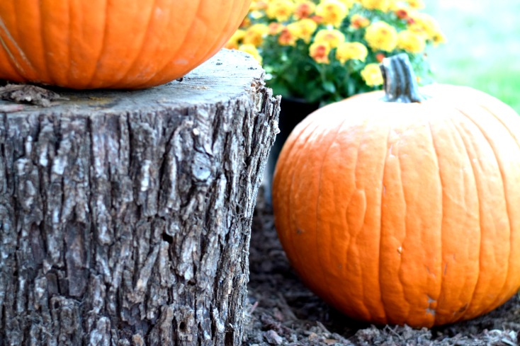 Fall porch Decorations - Natural wood, pumpkins, and mums for a cheap, woodsy look on chemistrycachet.com