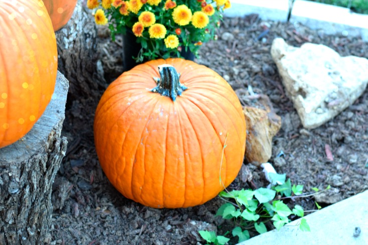 Fall porch Decorations - Natural wood, pumpkins, and mums for a cheap, woodsy look on chemistrycachet.com