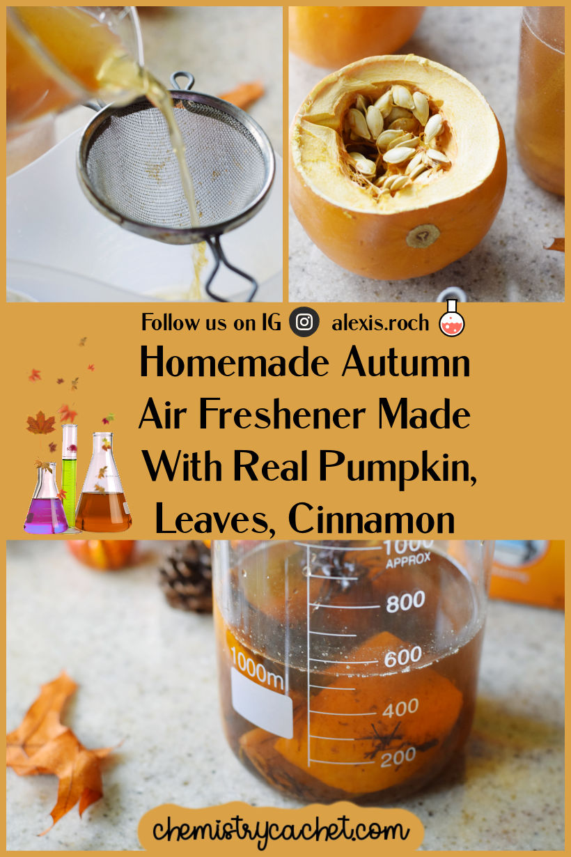 Completely Natural Homemade Autumn Air Freshener With Real Pumpkin, Apples, Cinnamon, and Leaves