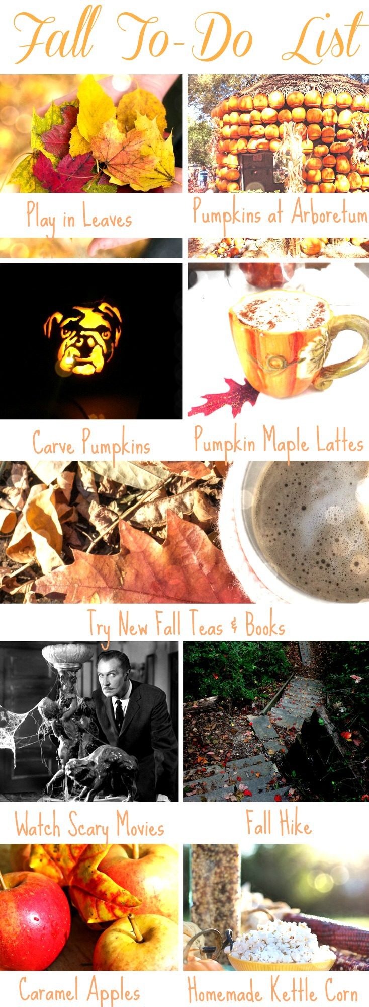 The Ultimate Fall To-Do List on chemistrycachet.com