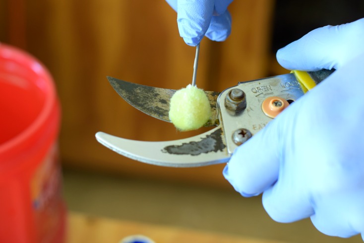 How to Remove Rust from Metal Plus Repairing and Preventing Rust with one simple kit