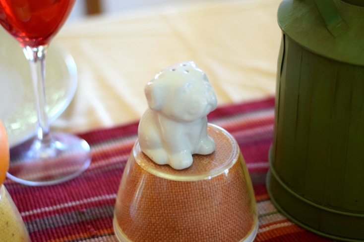 Celebrating Thanksgiving in Texas. Last minute decor! on chemistrycachet.com