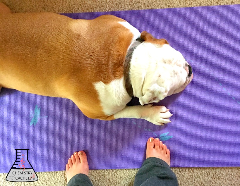 7 Easy Ways to Stay Happy this Winter. Like Exercise inside!