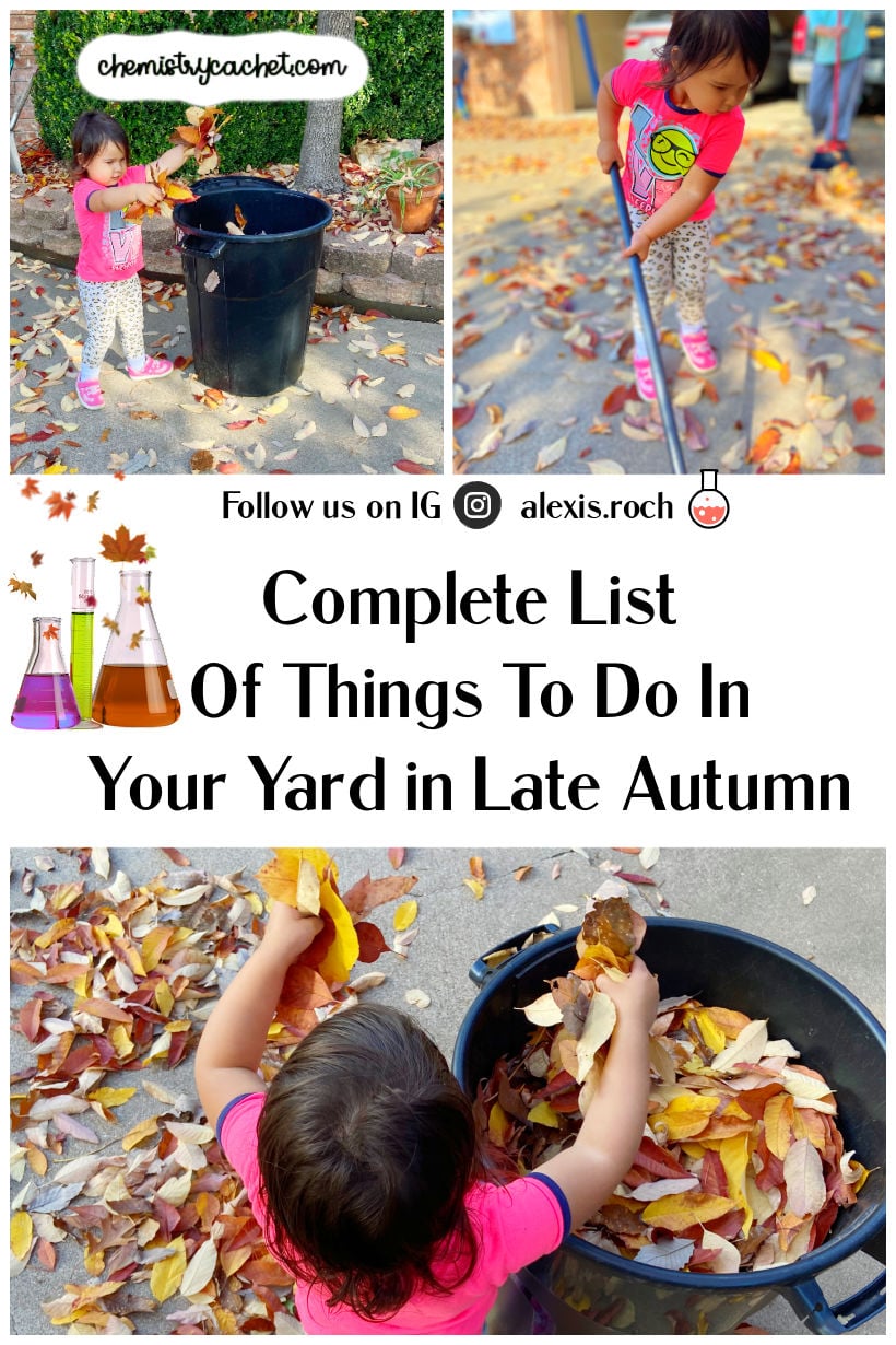 Complete List Of Things To Do In Your Yard In Late Autumn