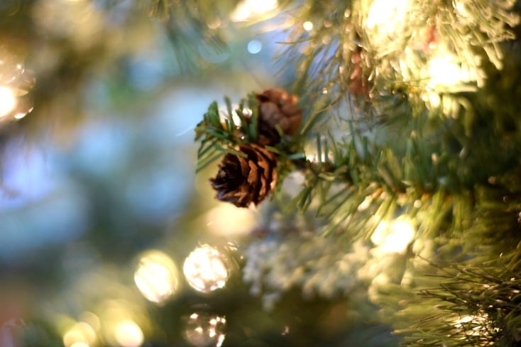 Christmas tree decorating! Use random ribbons to add texture and glam to a smaller tree on chemistrycachet.com