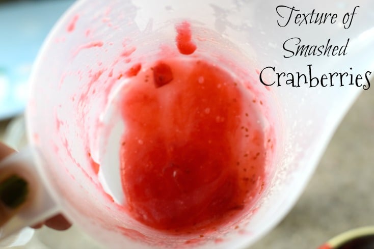 The Best DIY All Natural Peppermint Sugar Scrub. No food coloring! Natural peppermint scrub on chemistrycachet.com
