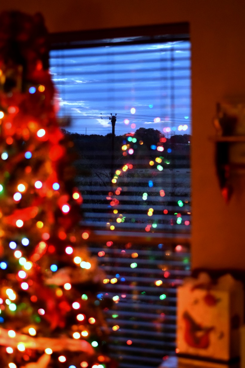 Only two days until Christmas! Christmas tree reflection overlooking a beautiful morning with cows grazing on chemistrycachet.com