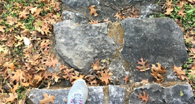 Easy Things to Do in Late Autumn for Yard & Garden