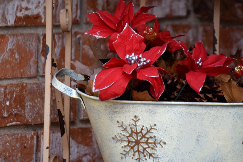 Warm and Peaceful Christmas details