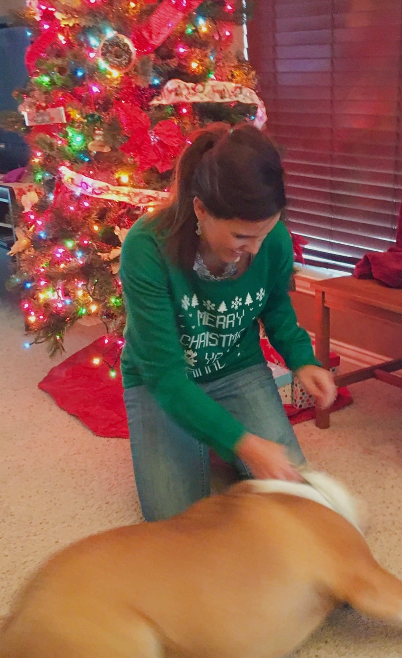 Warm and Peaceful Christmas...
