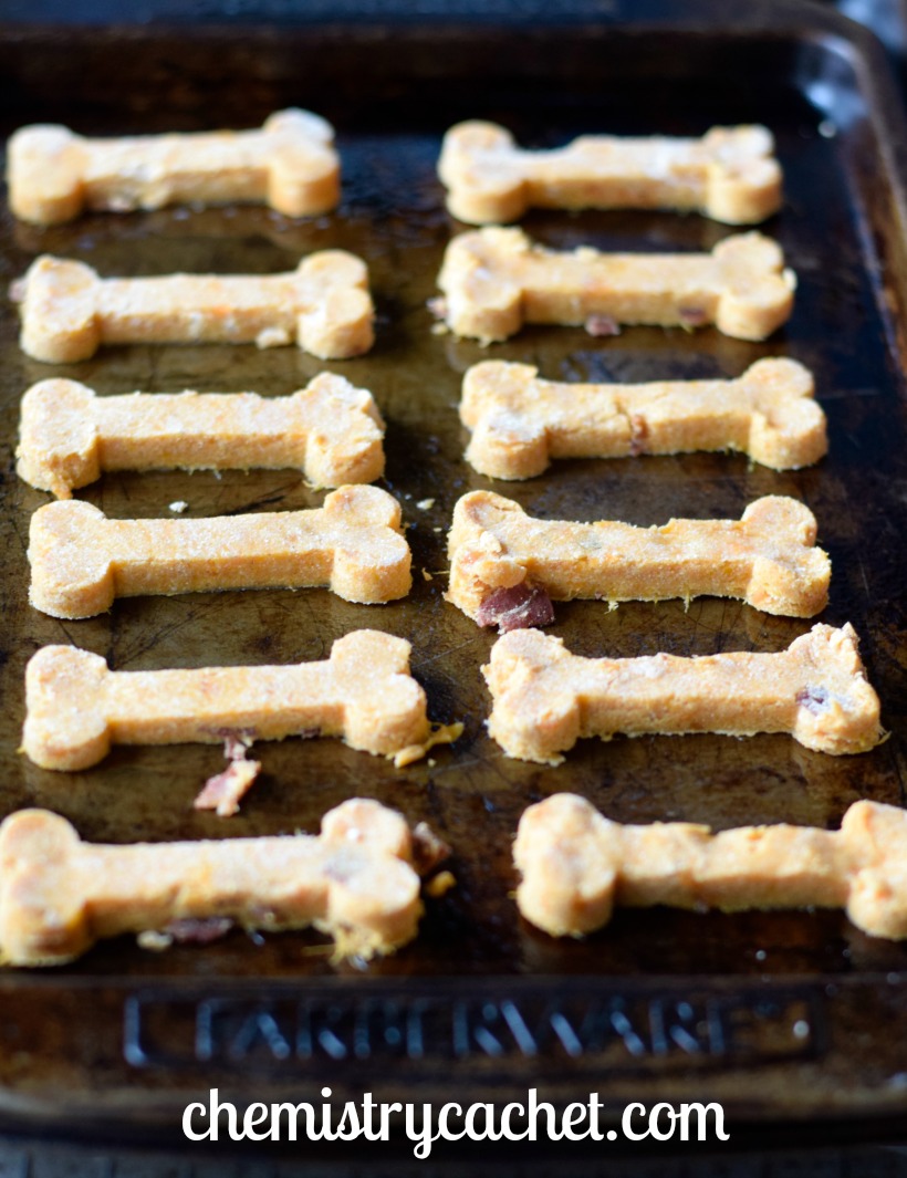 Homemade Grain-Free Dog Biscuits 