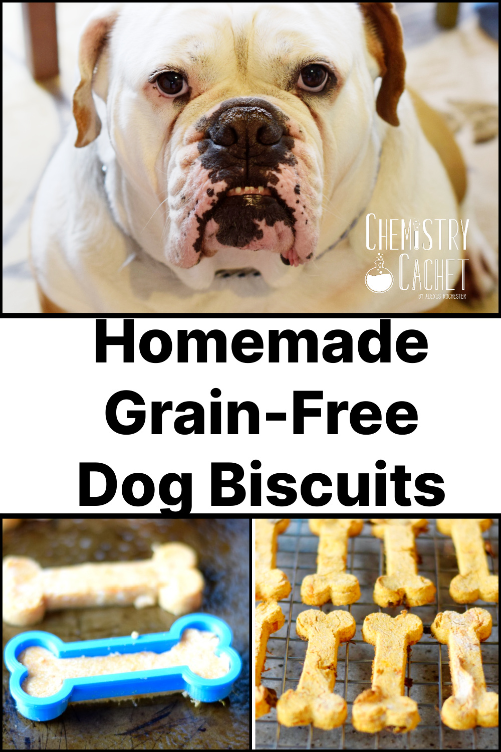 Homemade Grain-Free Dog Biscuits