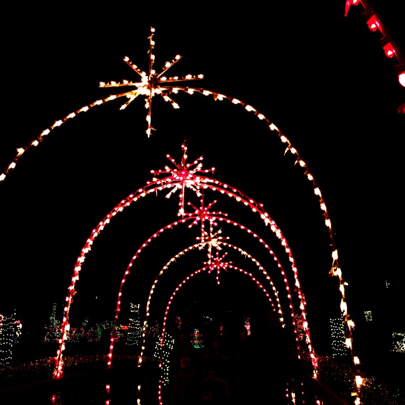 Small town Christmas in Texas is the best! on chemistrycachet.com