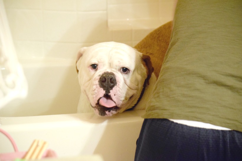 Bath Time for Ruger