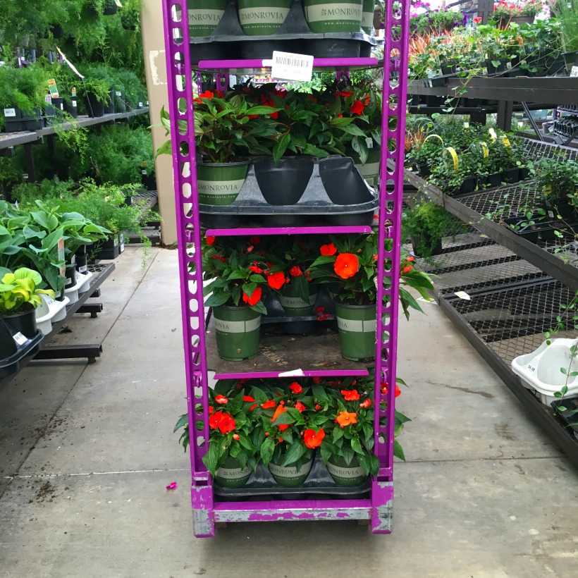 Spring Plant Shopping