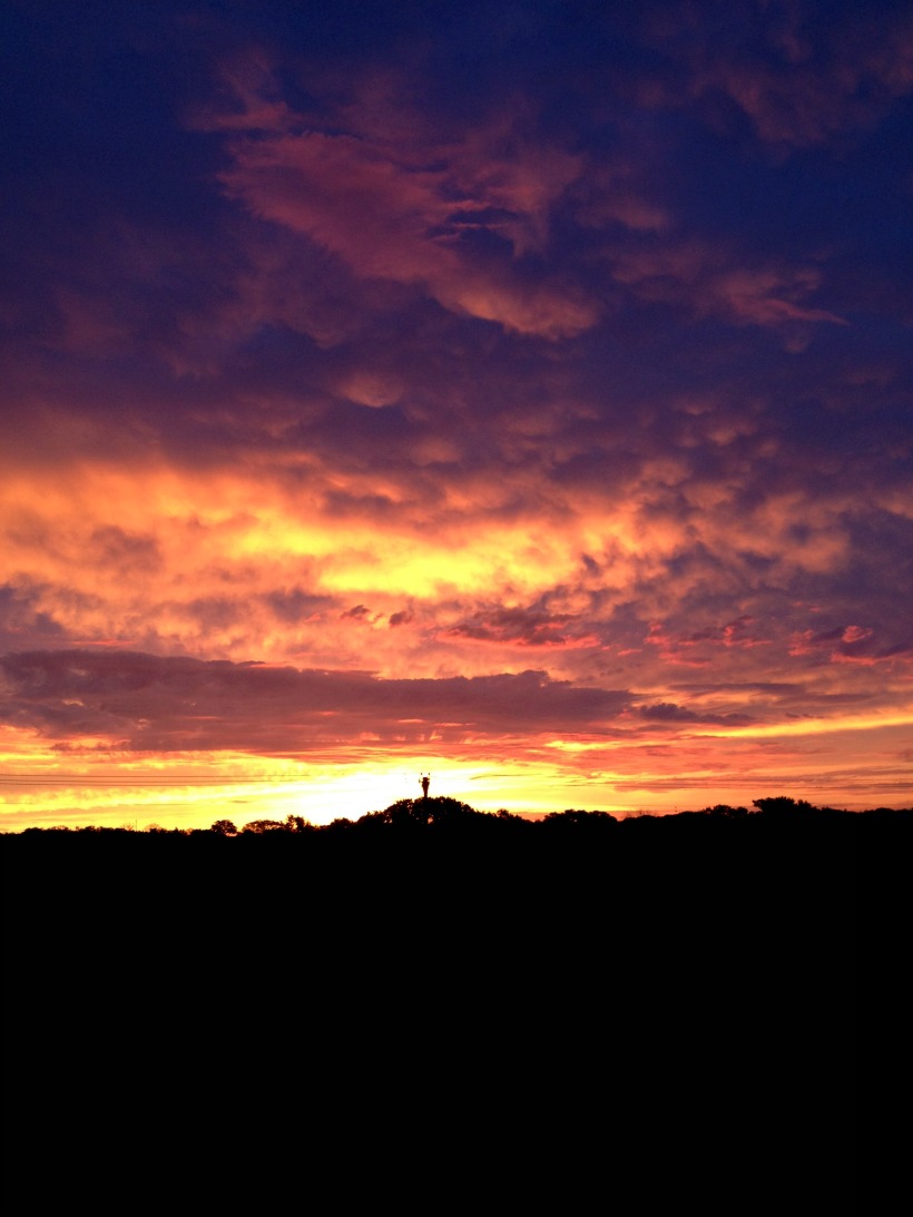 Beautiful Sunrise in May