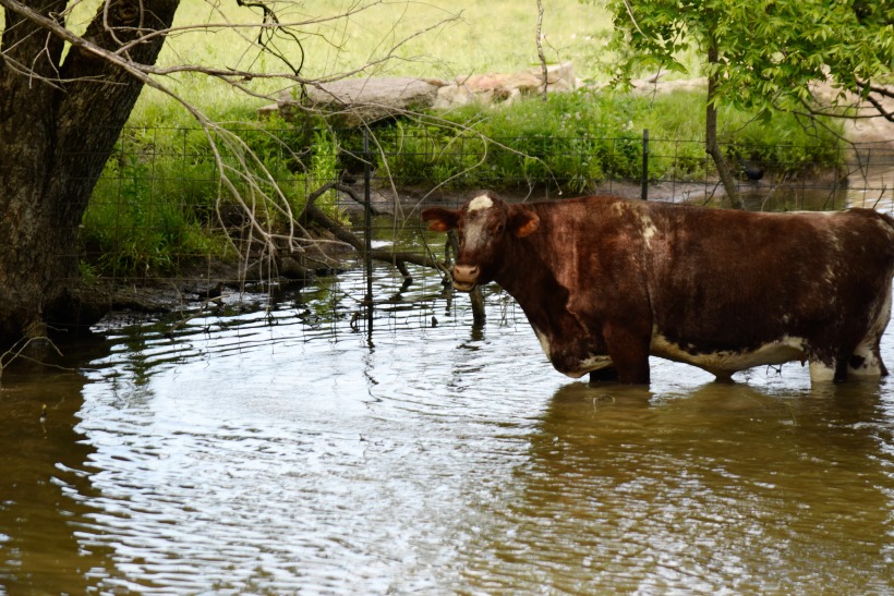 Weekend in the country.