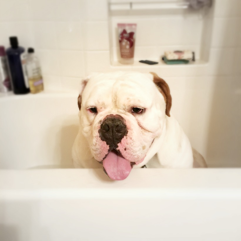 bath time