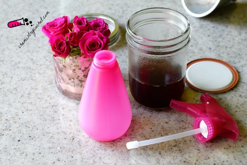 Cheap SUPER Easy Homemade Rose Water Tutorial plus the science on why rose water is fantastic for your skin on chemistrycachet.com