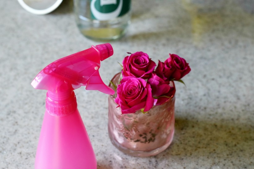 Cheap SUPER Easy Homemade Rose Water Tutorial
