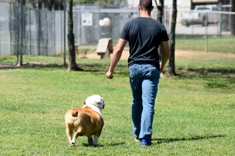 why having a dog makes you happy