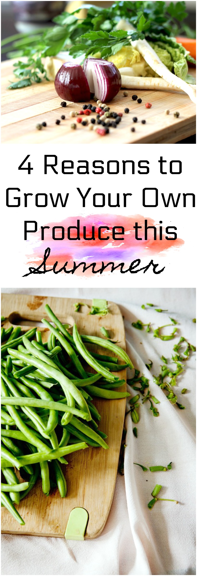 4 Reasons to Grow Your Own Produce this summer chemistrycachet.com