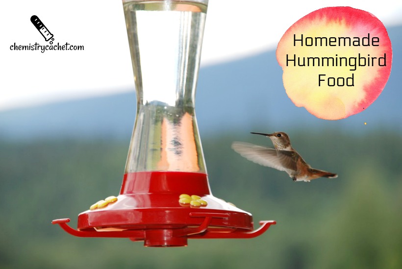 Easy Homemade Hummingbird Food Recipe