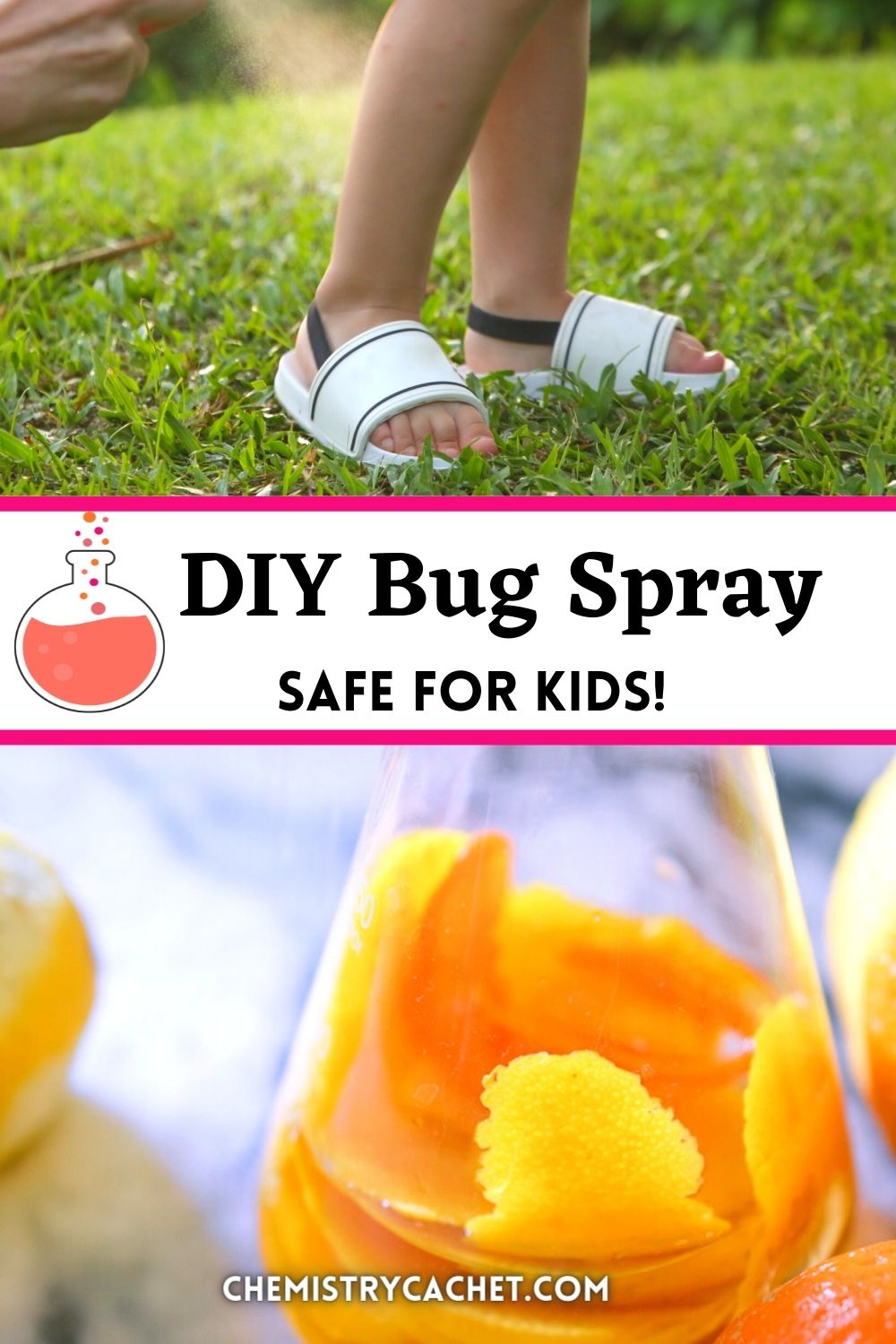 DIY Bug Spray Recipe