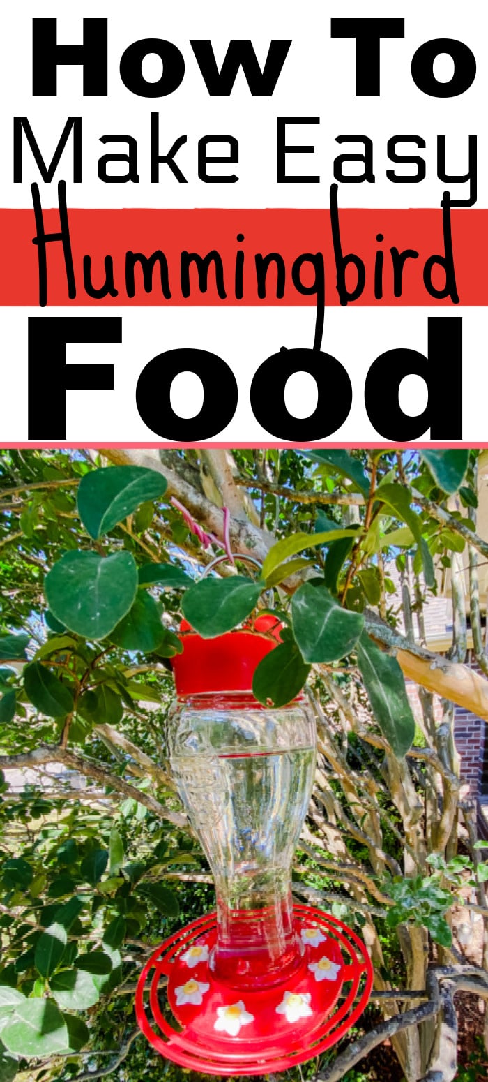 How To Make Easy Hummingbird Food Plus Ways To Keep It Fresh