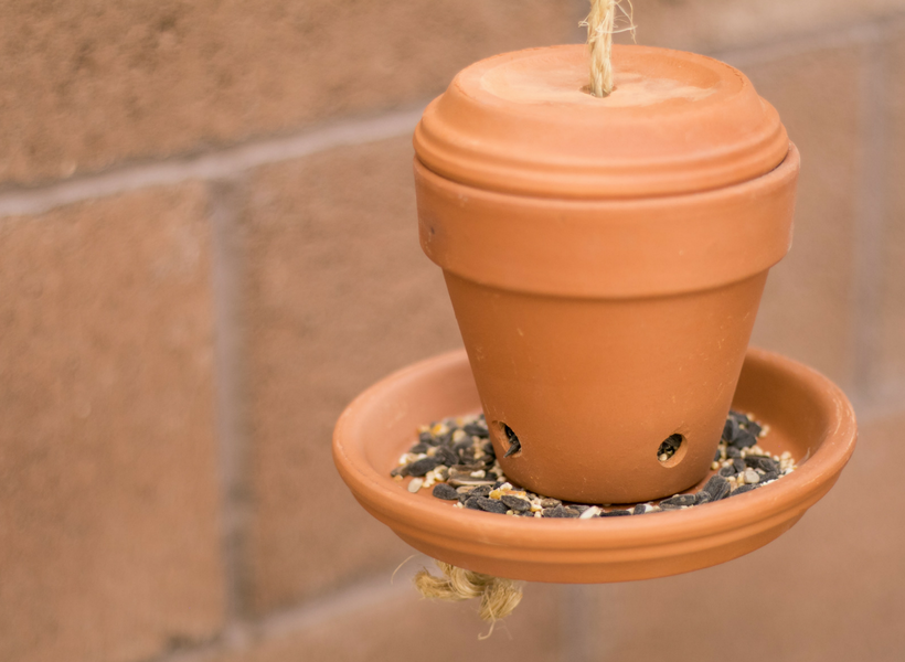 How to Create an Environment for Pollinators