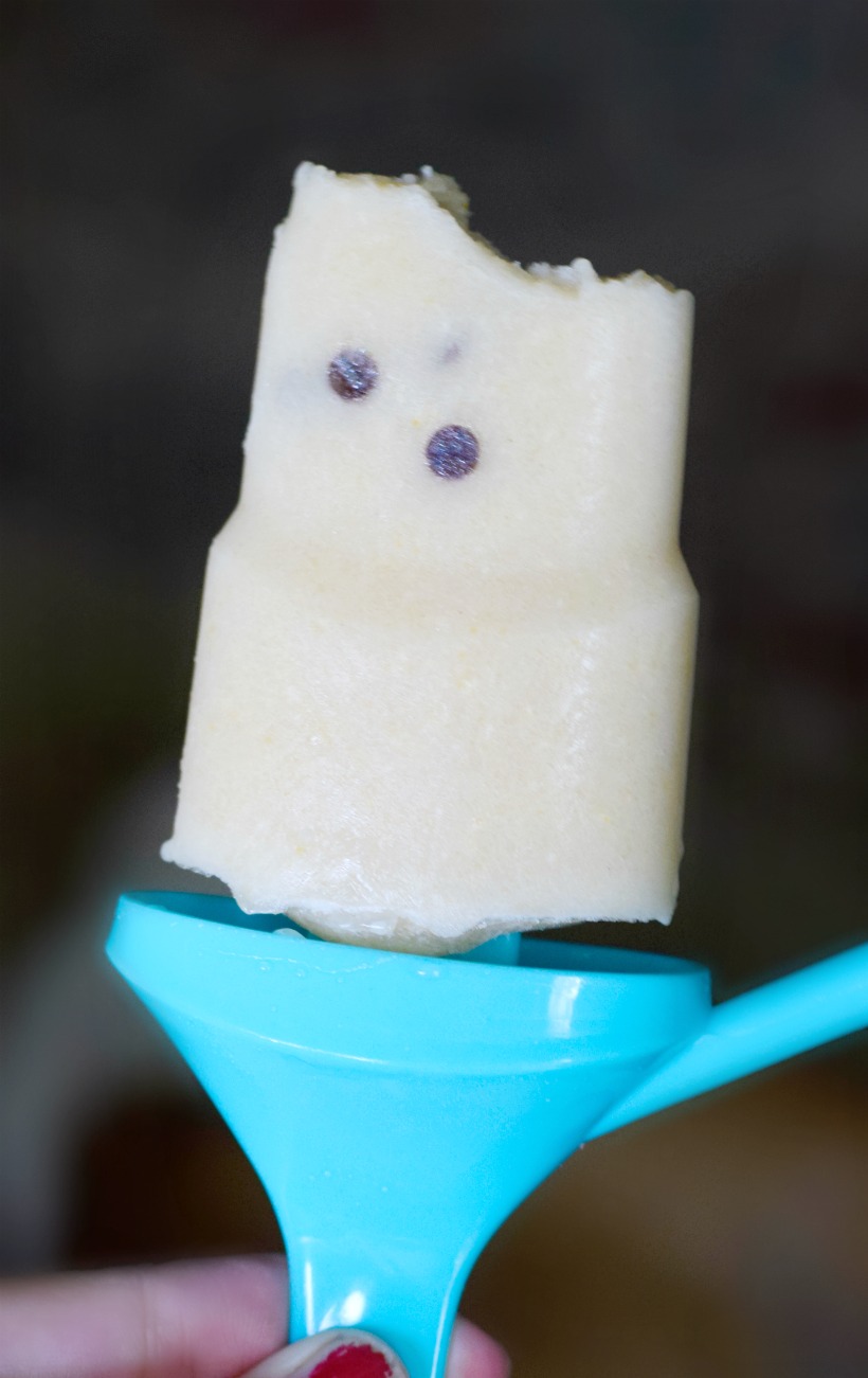 Dairy-Free Organic Pudding Pops. Different mix in options too! 