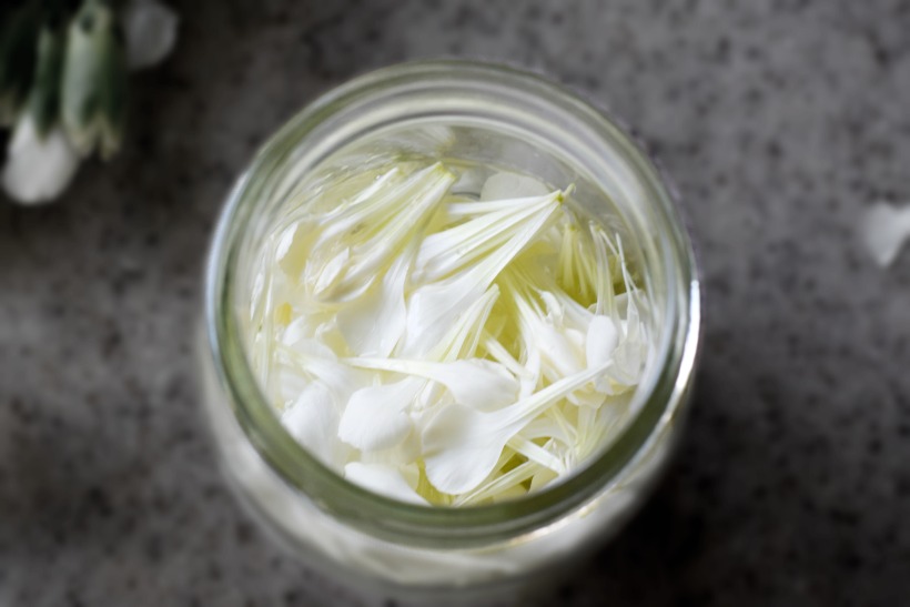 flower petals