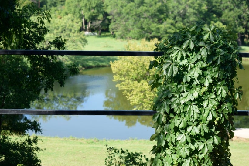 summer in texas by the lake