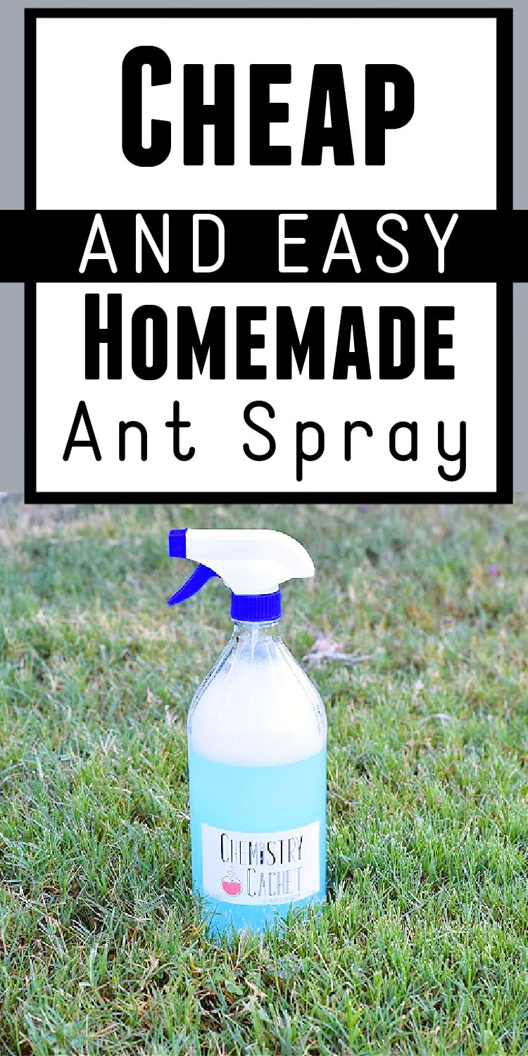 Cheap and Easy Homemade Ant Spray