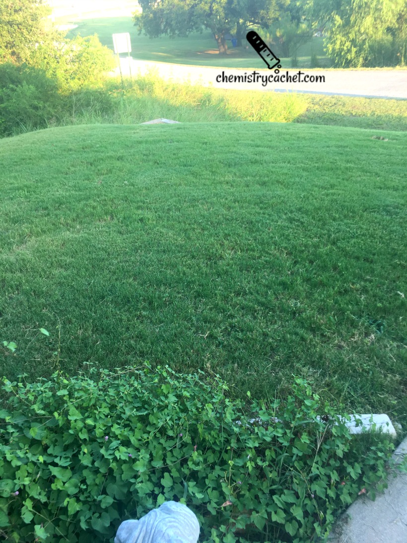 easy fall lawn care tips