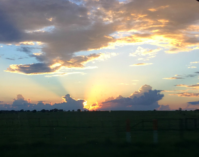 late august favorites. Sunset