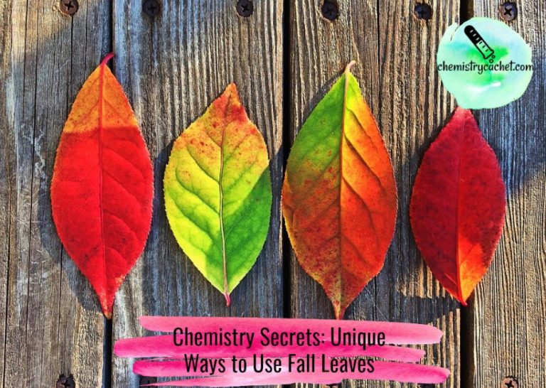 Chemistry Secrets Unique Ways to Use Fall Leaves