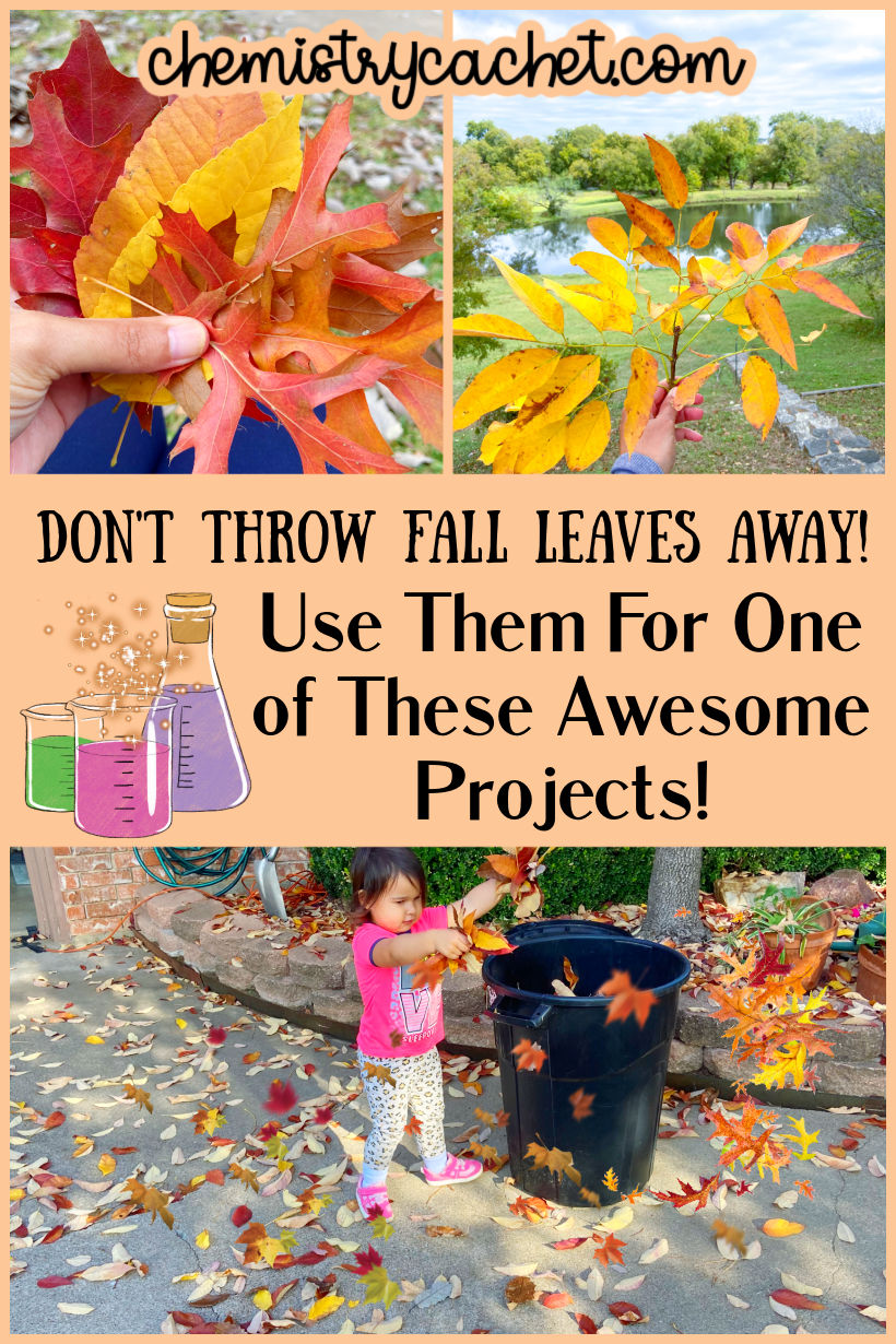 Unique Ways To Use Fall Leaves Around The Home Instead of Throwing Them Away