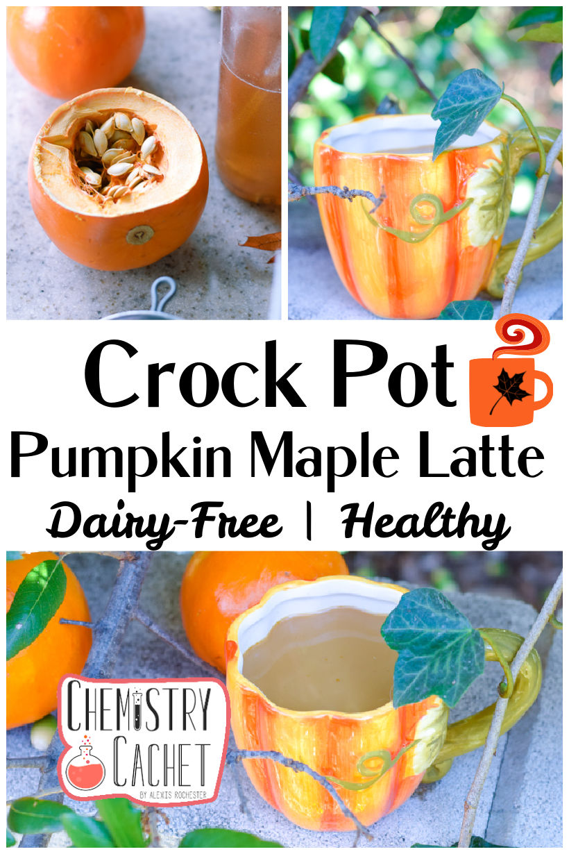 Easy, Healthy Crockpot Pumpkin Maple Latte