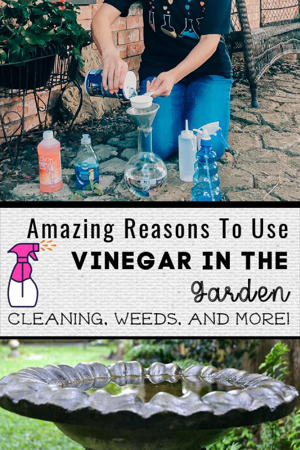 Amazing Uses For Vinegar In The Garden