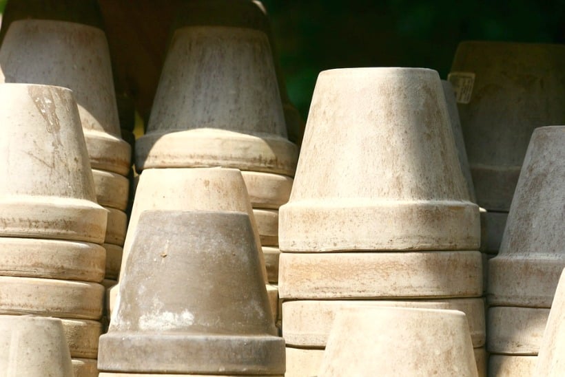 benefits of vinegar in the garden