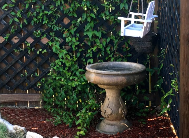 bird bath cleaned with vinegar