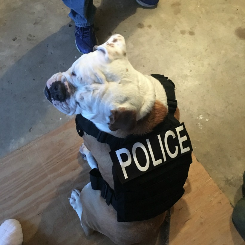 Police officer Ruger
