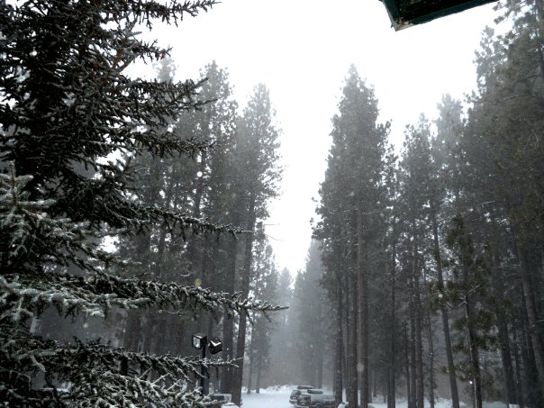 Big bear Lake Dreamy Christmas Scenes