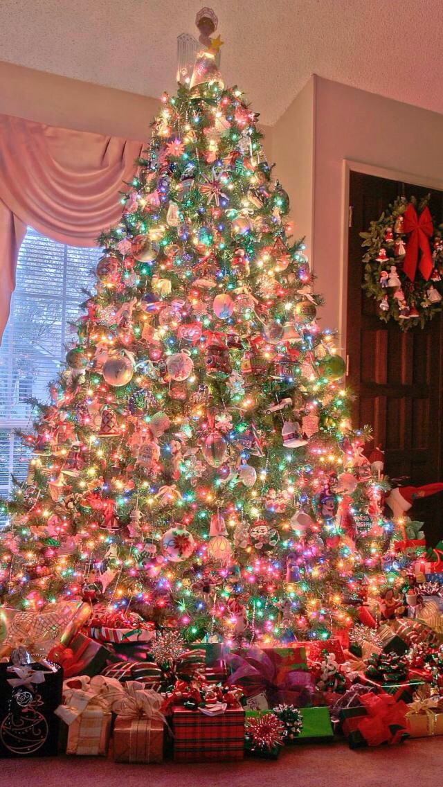 Dreamy Christmas Scenes!