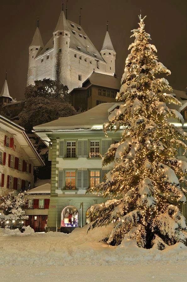 Dreamy Christmas Scenes