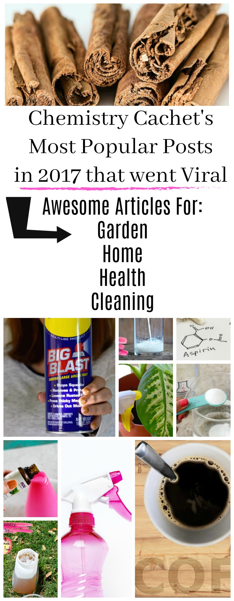 Chemistry Cachet's Most Popular Posts That Went Viral in 2017. Top articles for cleaning, gardening, home, health, and more! on chemistrycachet.com