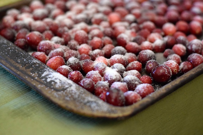 Thanksgiving cranberries
