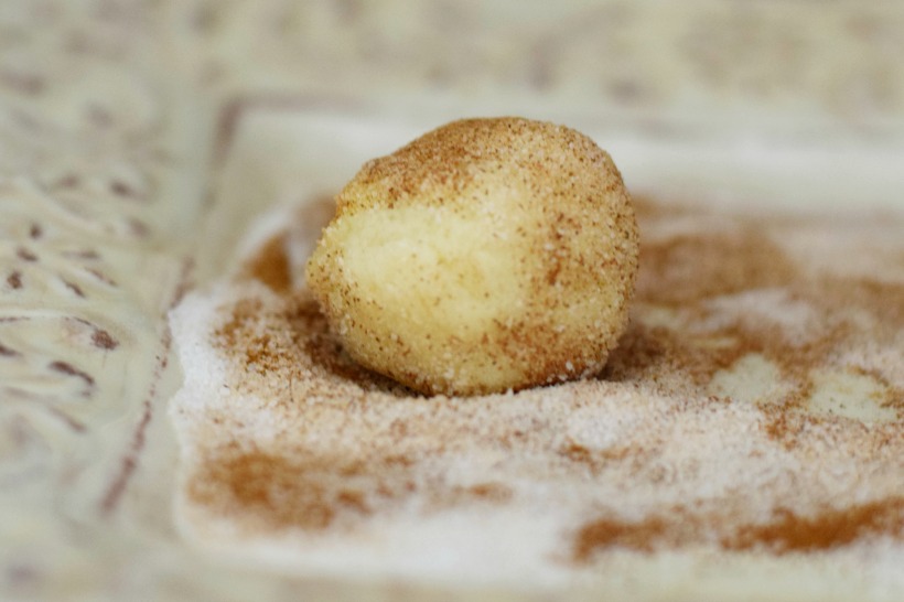 gluten-free snickerdoodle recipe.